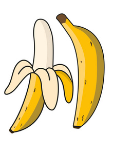 香蕉，剥了皮的香蕉孤立在白色背景上。矢量图