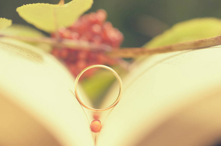 打开的书，一枚订婚戒指作为爱情的象征