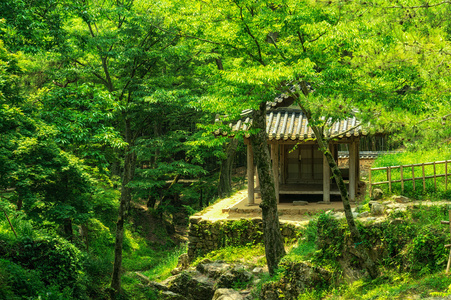 传统的韩庙屋和宝塔图片