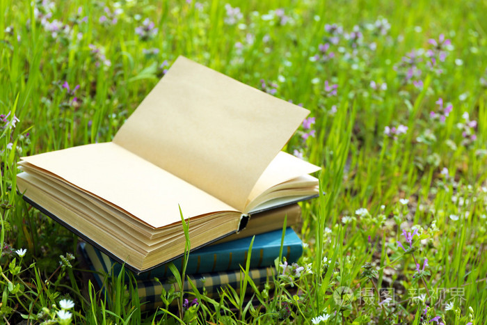 外面堆放在草地上书籍