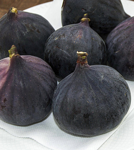 新鲜的黑无花果龄画, 新鲜的无花果果在盘子里照片