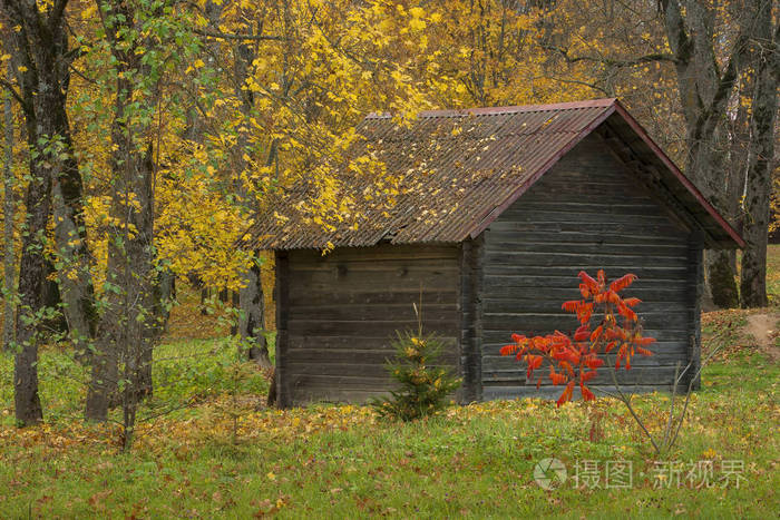 秋天的树林间旧木房子里