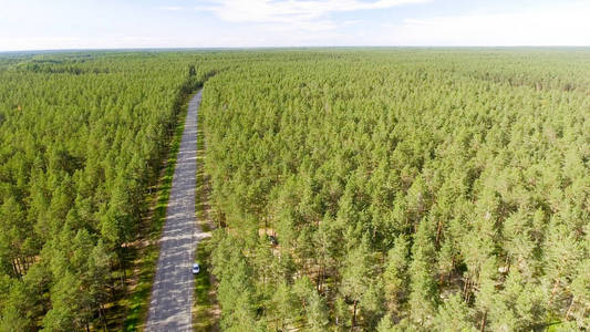 穿越森林的美丽道路的鸟瞰图