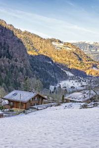 瑞士一个村庄，山谷中