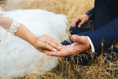 手中的新娘和新郎的恋人。结婚戒指