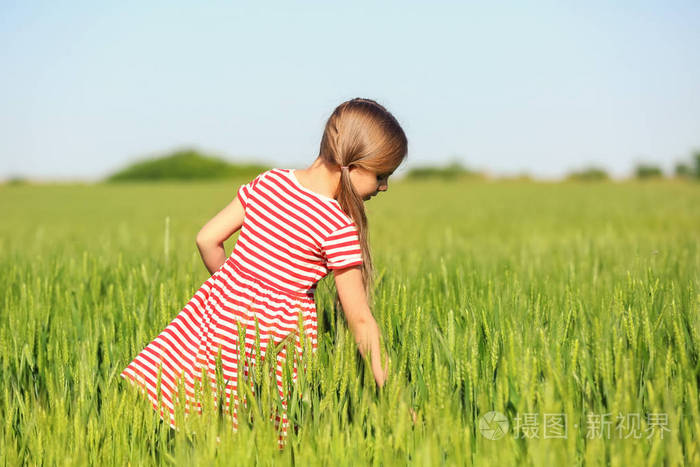 小女孩在绿色的田野