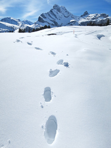 在洁白的雪地足迹