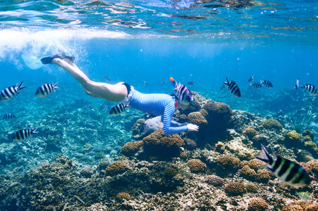 浮潜的女人图片
