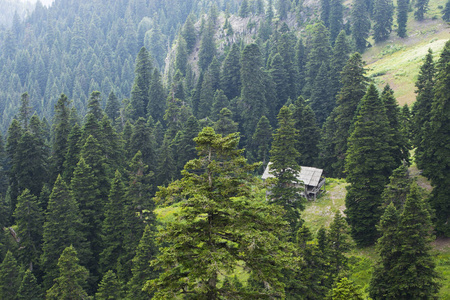 在山的小山村图片