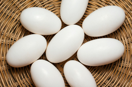 集团的鳄鱼图片-集团的鳄鱼素材-集团的鳄鱼插画-摄图新视界