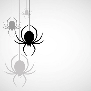 自然的光纤符号.矢量收集关于蜘蛛网,隔离的向