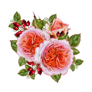 花粉红色的玫瑰花的安排。白色背景上孤立