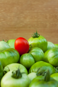 未成熟的绿色蕃茄红番茄图片