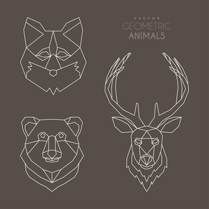 简约的几何动物矢量插图一套照片