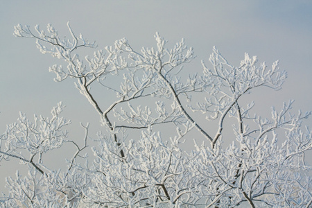 多雪的冬天