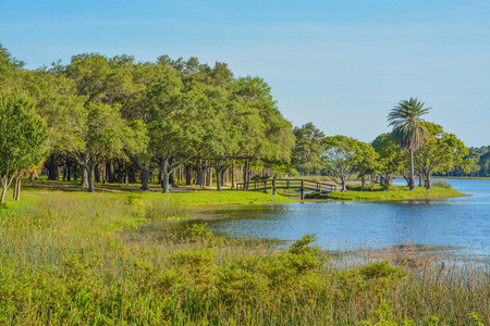 美好的一天散步和约翰 S.泰勒公园在佛罗里达州基拉戈岛的木结构桥梁视图