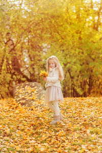 小女孩在温暖羊毛衫微笑背景下的落叶