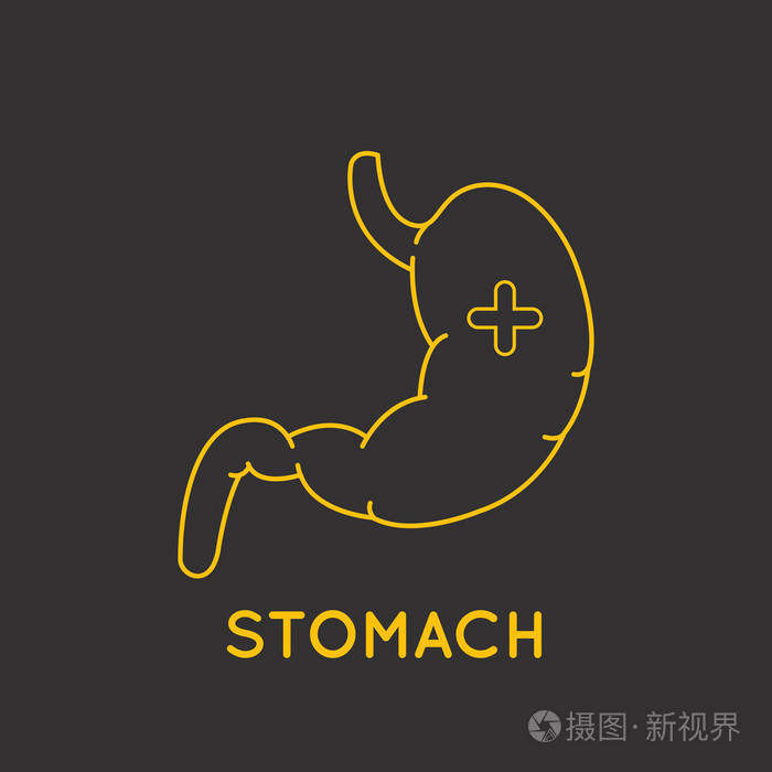 胃医学标志矢量