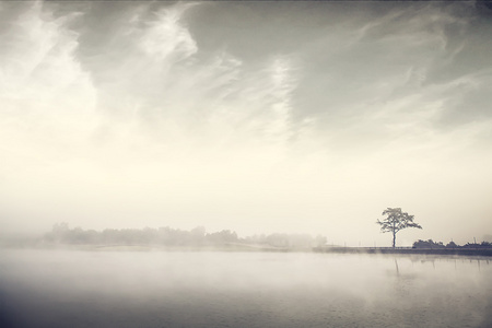 晨雾自然图像