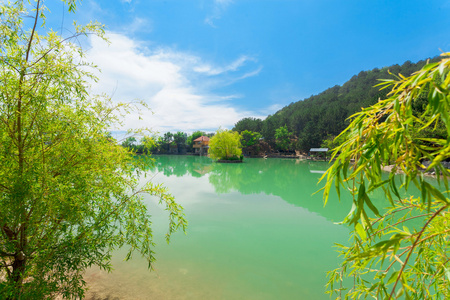 美丽的湖岸边度假图片