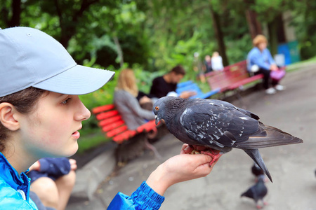 这个女孩喂鸽子在公园里照片