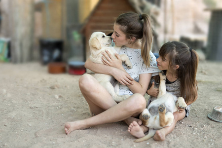 金毛的图片大全图片