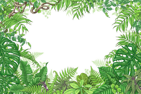 热带植物矩形框架