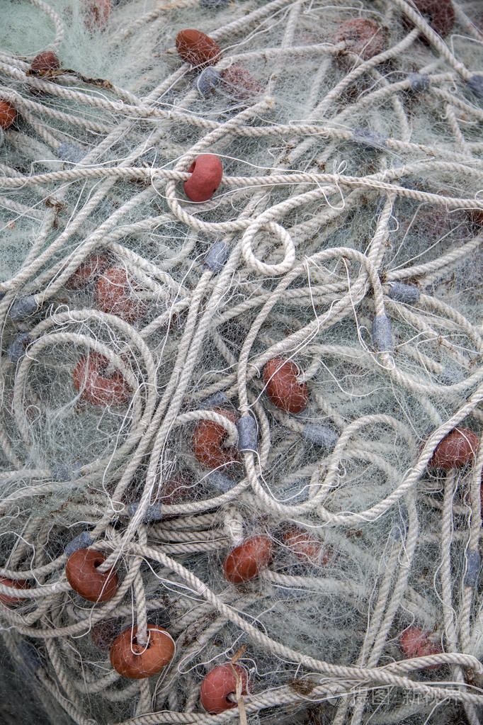 渔网