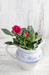 美丽的玫瑰在仿古陶瓷花瓶