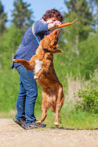 女人玩收费猎犬新斯科舍省鸭