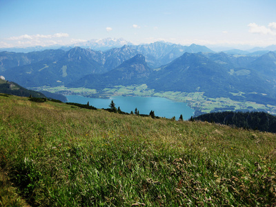 在阿尔卑斯山 meddow