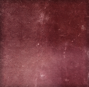 革质银莲花图片-革质银莲花素材-革质银莲花插画-摄图新视界