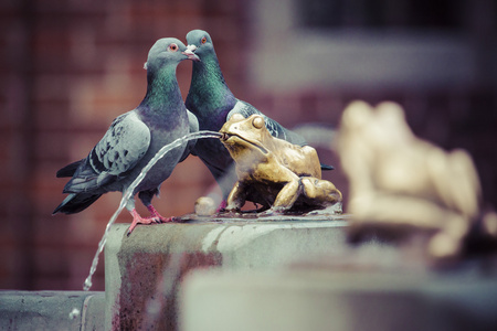 两个鸽子和金幸运蛙的象征的喷泉
