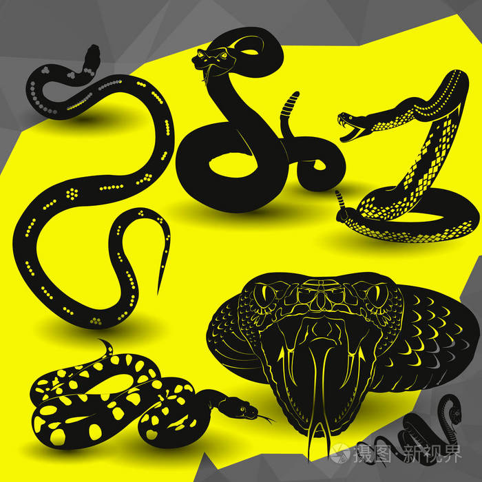 蝰蛇响尾蛇图标矢量图