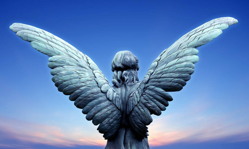 天使的翅膀在晴朗的天空照片