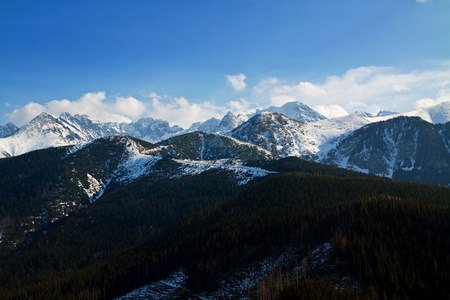 山雪景观与森林