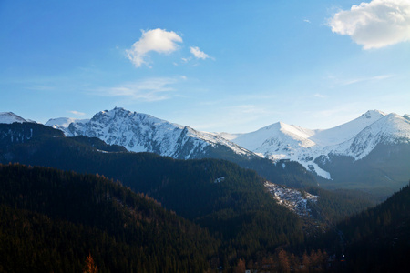 山雪景观与森林图片