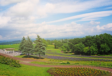 日本北海道花卉园绿化景观图片