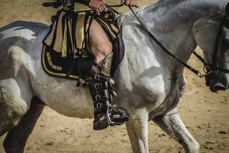 罗马的战车图片