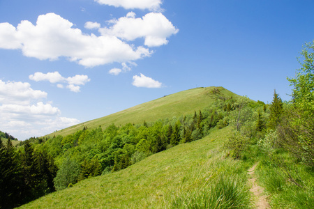 在绿色夏日的山脉，白云在蔚蓝的天空景观的路径
