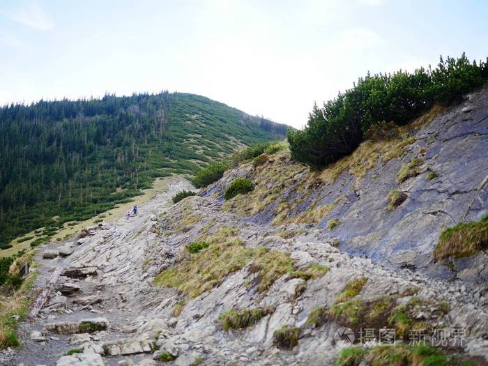 暂无图片作者sergetouch新媒体授权标准授权扩展授权如何选择jpg大