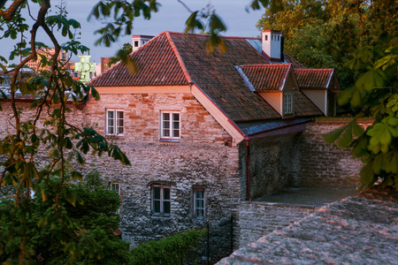 在老塔林的日出。从丹麦的花园观景台的中世纪建筑的顶视图。爱沙尼亚的历史性地标。在夏天的清晨