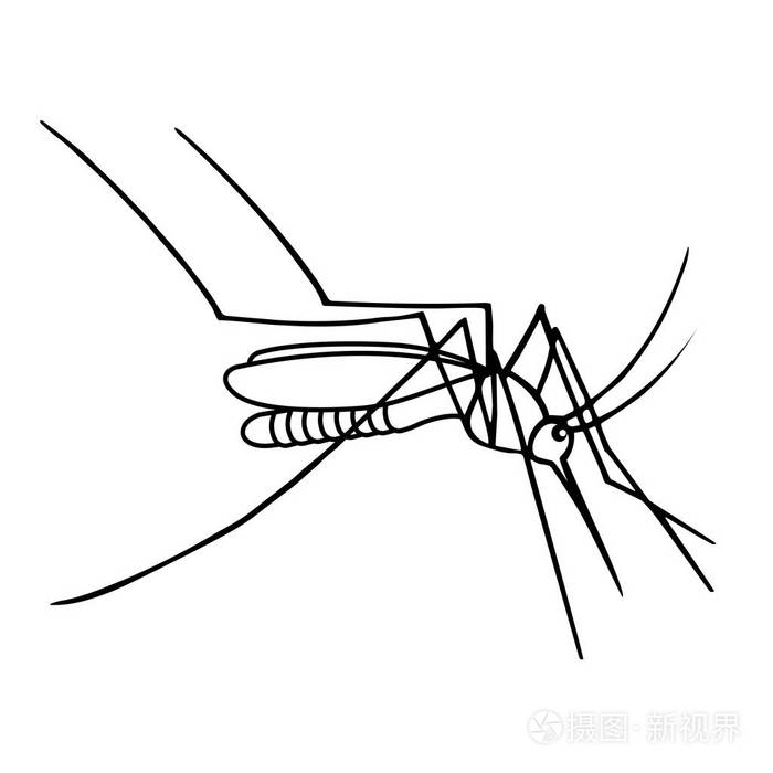 蚊子在白色背景矢量图