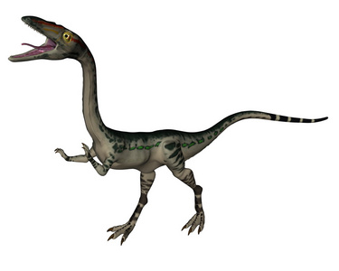 Coelophysis 恐龙3d 渲染