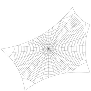 蜘蛛网。白色背景上的孤立。矢量轮廓怡乐思