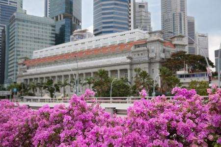 新加坡中央商务区与花图片