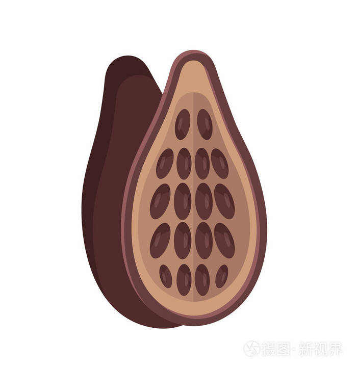 可可果.矢量插画-正版商用图片0c71hs-摄图新视界