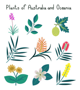 植物的澳大利亚和大洋洲图片