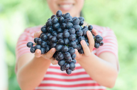 女人的手,拿红葡萄葡萄收获照片