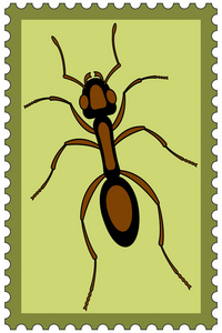 邮票上的蚂蚁昆虫
